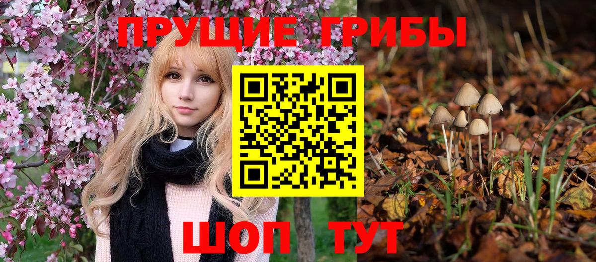 Псилоцибиновые грибы MAGIC MUSHROOMS  Вход с VPN  Симферополь  Псилоцибиновые грибы Psilocybine cubensis 